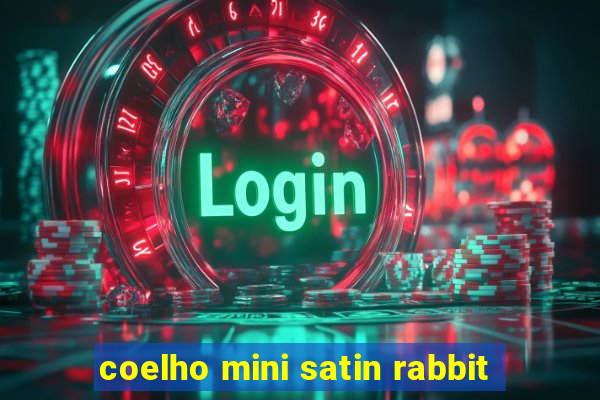 coelho mini satin rabbit